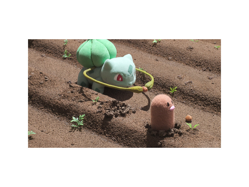 「ポケモンコンシェルジュ」(C)2025 Pokémon. (C)1995-2025 Nintendo/Creatures Inc./GAME FREAK inc.