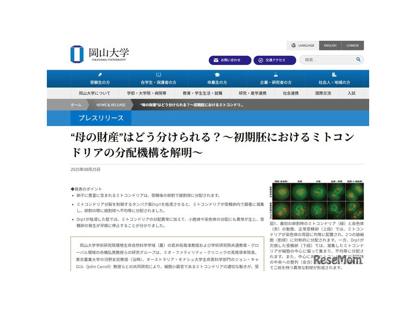 岡山大学「初期胚におけるミトコンドリアの分配機構を解明」