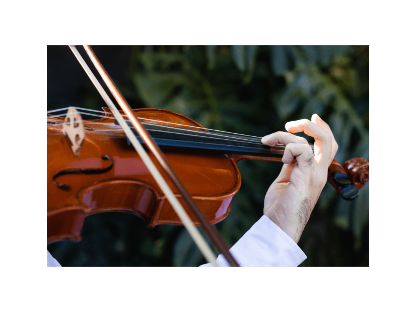 ウィーンを歩いていると…→「すごい！」思わず”立ち止まるの光景”に「さすが音楽の都」