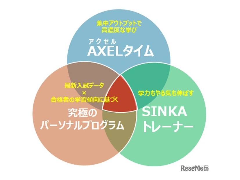 AXELタイム、究極のパーソナルプログラム、SINKAトレーナーの三位一体が高濃度な学習を実現