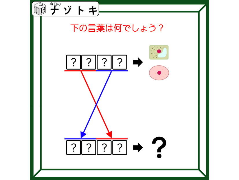 クイズです！「入れ替えたら別の言葉？」イラストは理科の授業で見たことがあるものです【難易度LV２.・甘口】