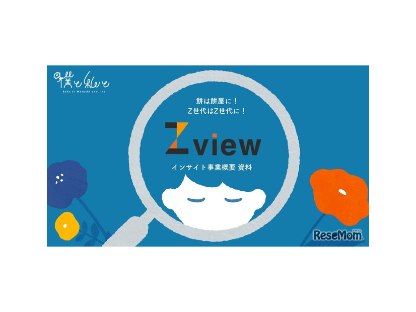 Zview lab.