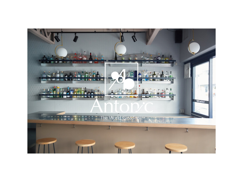 The World Gin&Tonic〔Antonic〕