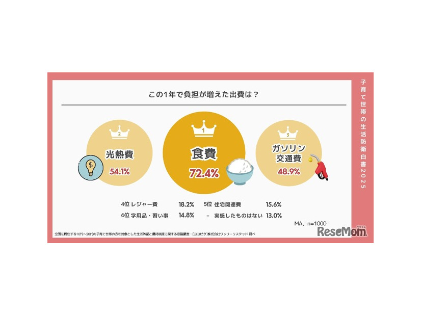 この1年で負担が増えた出費