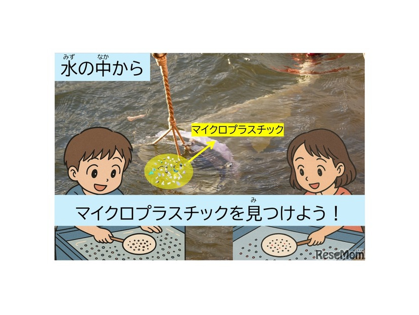 水槽から網でマイクロプラを採取～材質判定まで「水の中からマイクロプラスチックを見つけよう！」