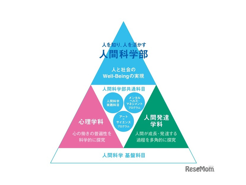 新学部を象徴する共通科目・プログラムの新設