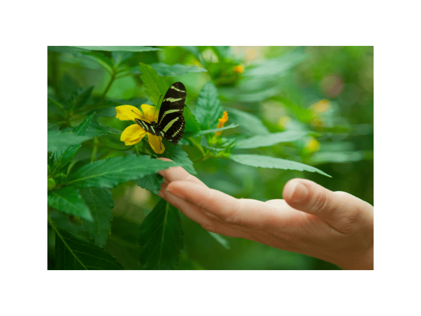 虫が大の苦手な私　洗濯物も外に干せなかったが⇒出産を機に「自分でもびっくり」