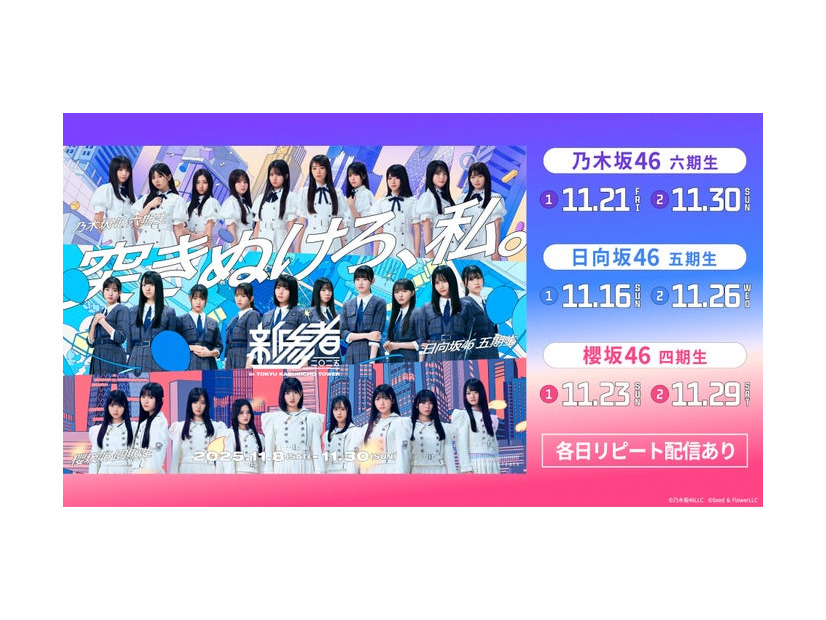 「新参者 二〇二五 LIVE at THEATER MILANO-Za」（提供写真）