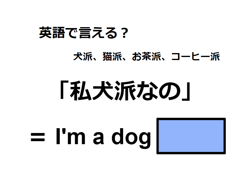 英語で「私、犬派なの」は何て言う？