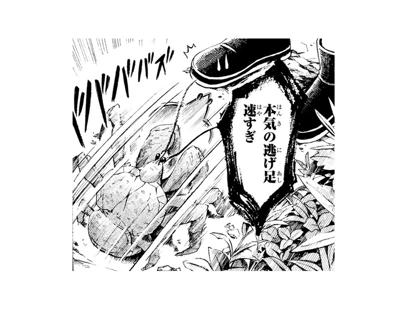 ついに「ヤシガニ」に会えるツアー開始！険しい林道を走り続けて、着いた先は…岩場!?【ぼっち旅 ～人見知りマンガ家のときめき絶景スケッチ～  #３】