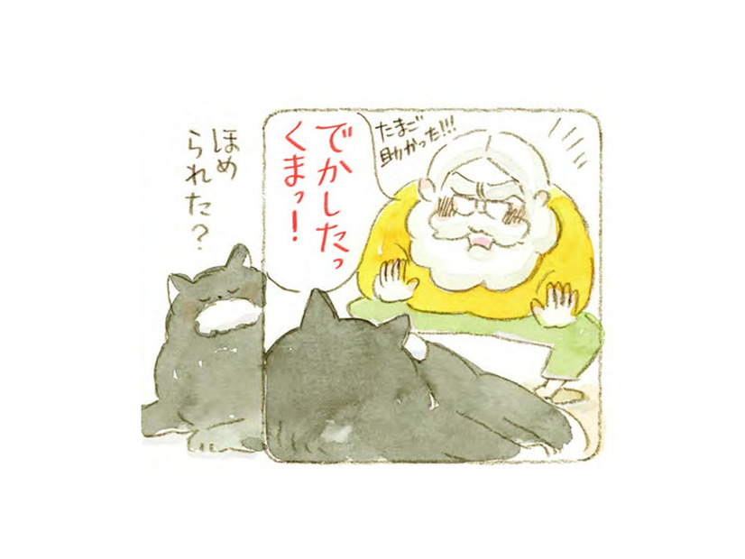 喫茶黒猫。仕込みをするマスターの横で、なぜ猫は「卵」を床に落とすのか…【深夜３時のくろねこ喫茶  #４】