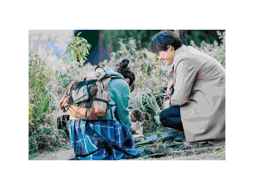 『楓』2025 映画『楓』製作委員会