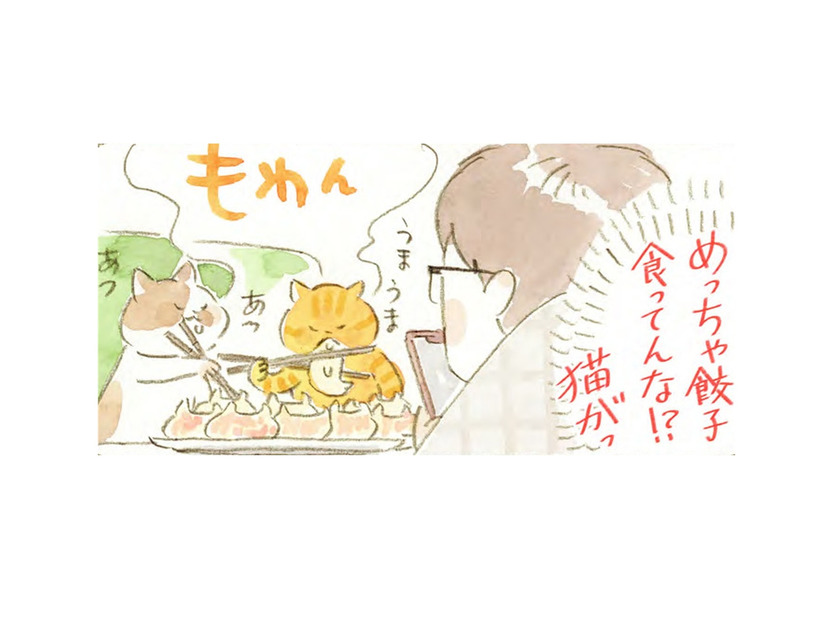 猫が見守る中で食べるニンニク３倍マシマシ餃子。真夜中に味わっているのは…!?【深夜３時のくろねこ喫茶  #６】