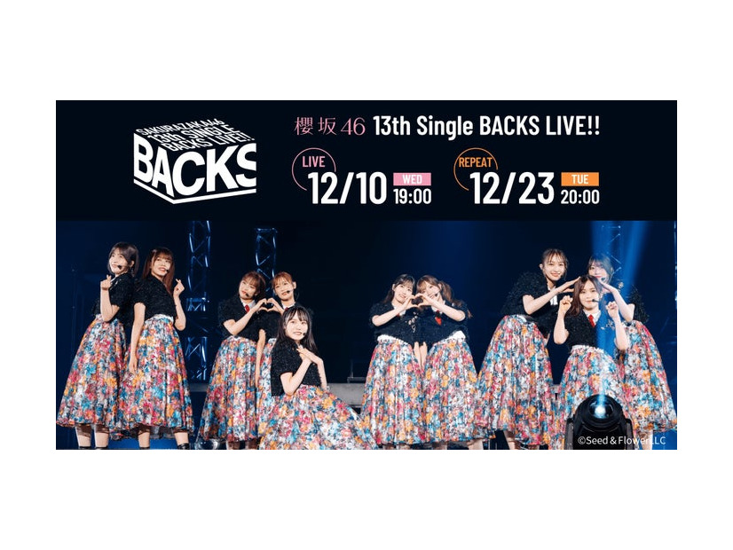 櫻坂46「13th Single BACKS LIVE！！」（提供写真）