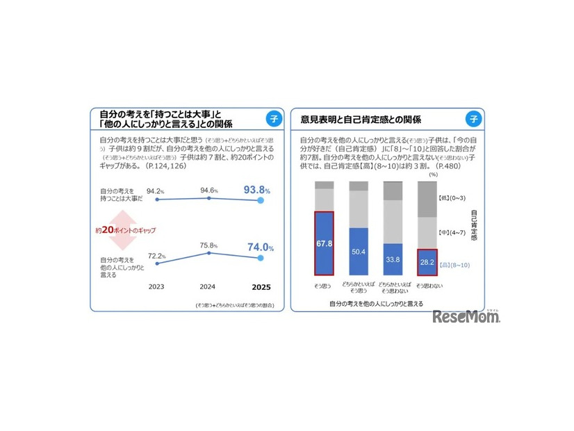 おもな調査結果：意見表明