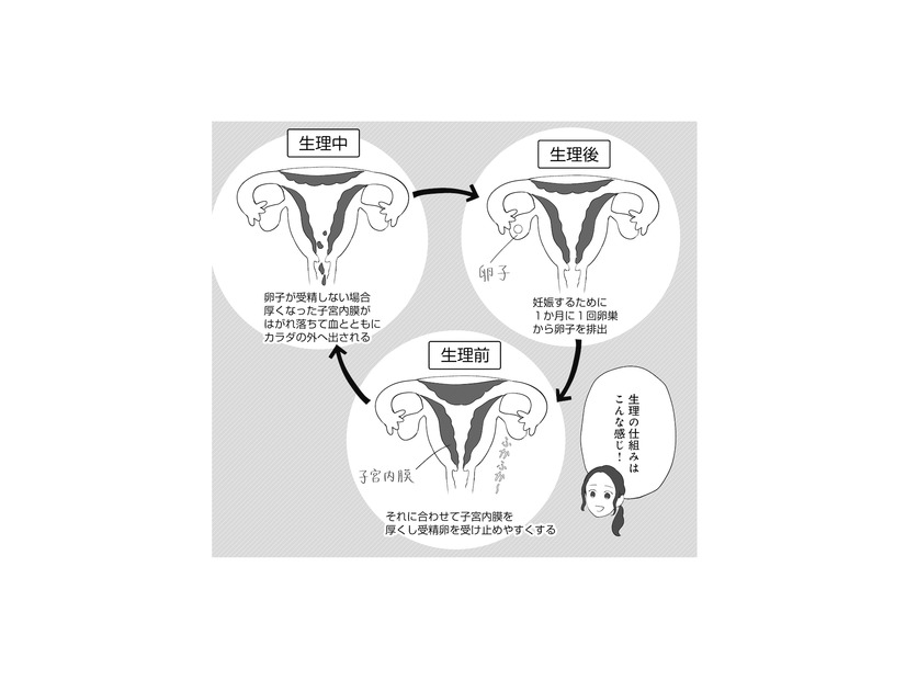 月経痛と過多月経の緩和に効果的なピル。10代でピルを服用するメリットは？【産婦人科医に聞く わたしとカラダの選択肢  #９】