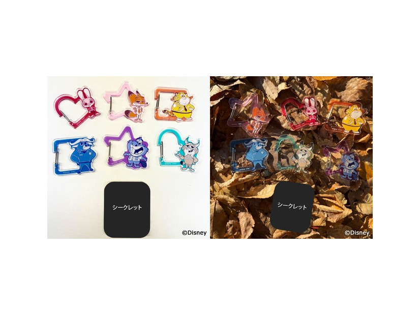 アクリルカラビナコレクション 単品（全7種ランダム）￥880 (税込)／セット（全7種）￥6,160 (税込)