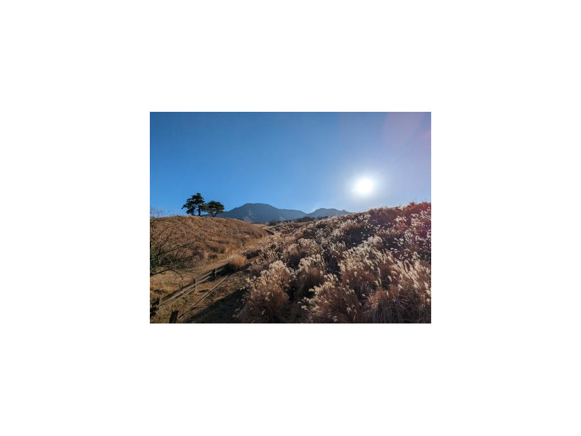 ウイルスや寒さの影響で体調を崩しがちな「冬至」の時季、「意外な３つの海鮮」を食べるべし？１つは赤くて２つは白くて