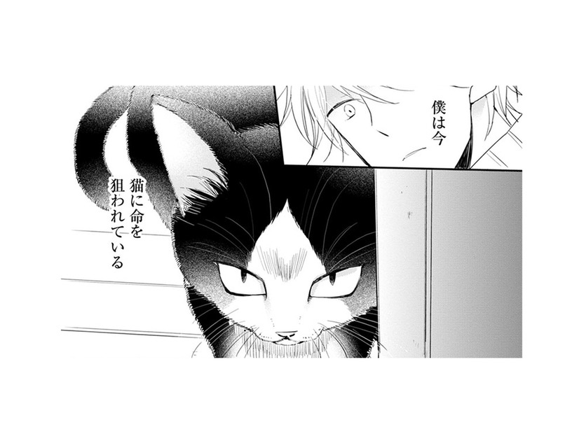 偏屈で人嫌いなミステリー作家の青年。新作の題材は…猫？ どこで出会ったの!?【同居人はひざ、時々、頭のうえ。 #１】