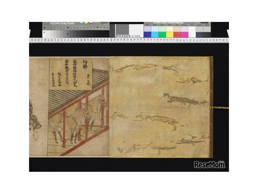 重要文化財　木製彩色婦人乗馬図華鬘（もくせいさいしきふじんじょうばずけまん）