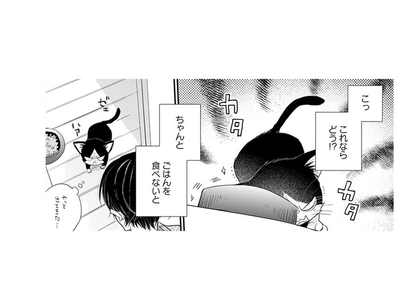【猫視点】ごはんを食べないと動けなくなる！ お皿ごと運んで来た時、人間が倒れて!?【同居人はひざ、時々、頭のうえ。 #９】