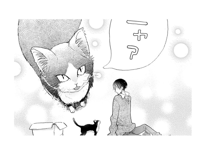 子どもの頃に読んだ絵本。太陽と月は友達だと思ったっけ… 猫の名前、決めた…【同居人はひざ、時々、頭のうえ。 #17】