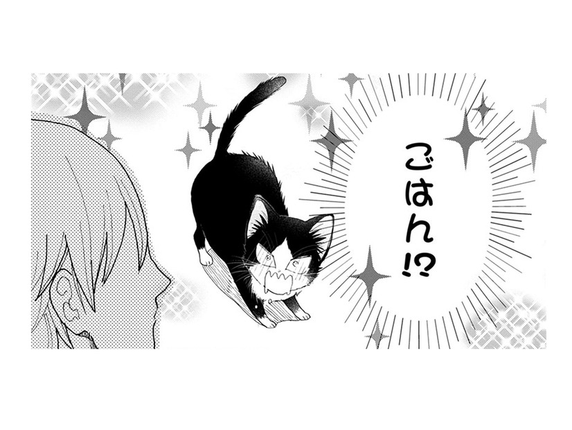 【猫視点】あの人間、よくわからないけど、ごはんをくれる言葉だけはわかる!! もっとちょうだ～い【同居人はひざ、時々、頭のうえ。 #21】