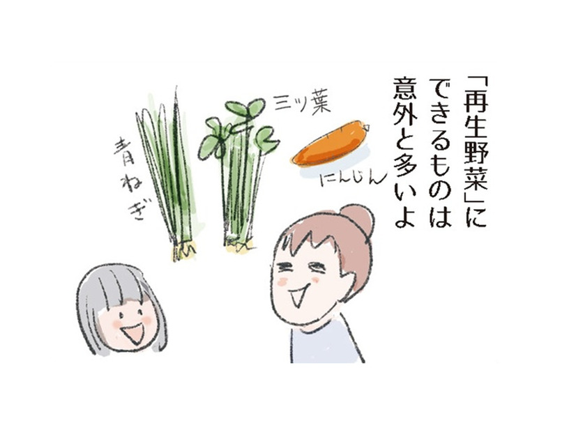 自家製スパイスで料理に彩りを！「再生野菜」は意外と簡単。成功させるコツは？【激せまキッチンで時短！簡単！ムダなしごはん #26】