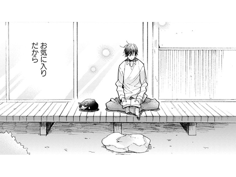 【猫視点】この場所は、いいおひるね場所もあるしごはんもくれるし、わりとお気に入りなんだからね【同居人はひざ、時々、頭のうえ。 #33】