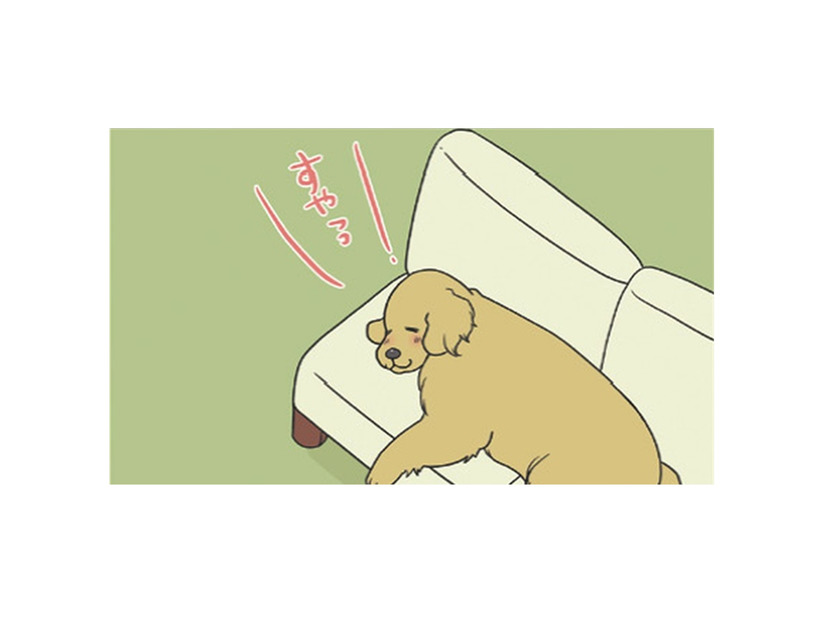 ソファを占領して眠る愛犬…大好きな洗濯物の匂いを確かめてまた夢の中へ？【おさんぽですし！　おしゃべり犬とイライラ猫の日記 #４】