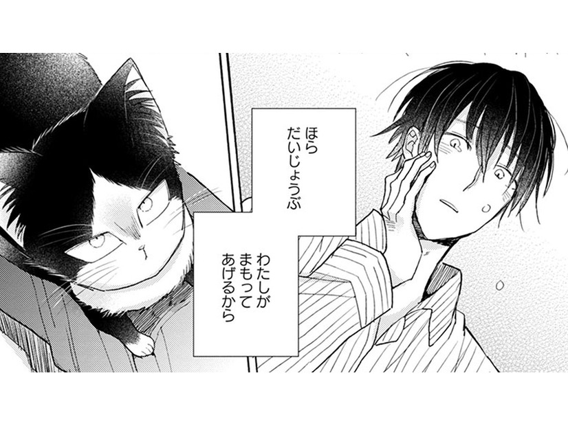 【猫視点】なさけない人間だけど、私がそばにいるわ。そんな時にまたヤツが来て…！【同居人はひざ、時々、頭のうえ。 #42】