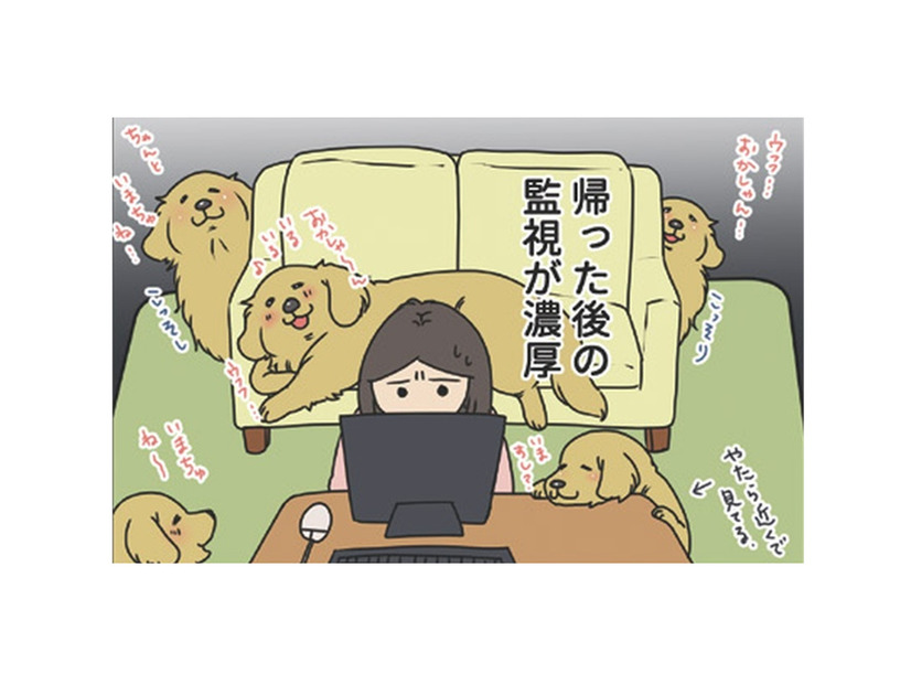 家に戻ると視線が集中、愛犬からの‟監視”包囲網。少し留守番させただけなのに…【おさんぽですし！　おしゃべり犬とイライラ猫の日記 #８】