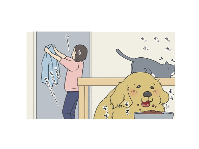 ごはんより安否確認？食事そっちのけで様子を見にくる愛犬がカワイイ【おさんぽですし！　おしゃべり犬とイライラ猫の日記 #10】