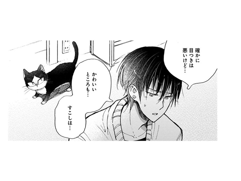 【猫視点】私の役目、わかってるから!! あなたをちゃんと守ってあげるから、安心しなさいよねっ！【同居人はひざ、時々、頭のうえ。 #54】