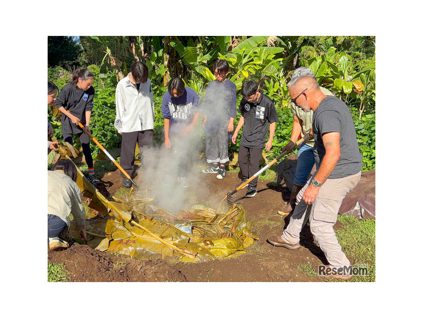 伝統的な地中蒸し料理をするようす