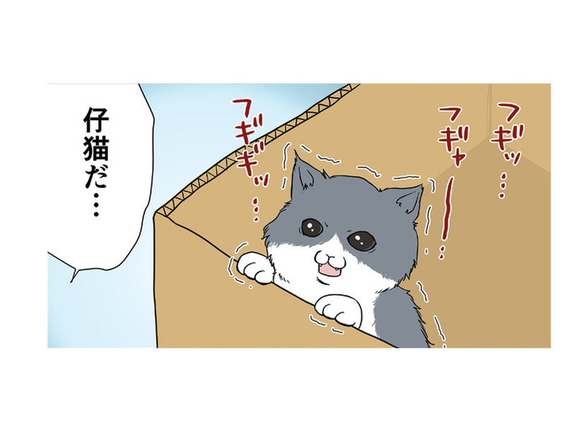 ダンボール箱の中で必死に鳴いてる仔猫を発見…こんな小さいのに誰が捨てたの？【おさんぽですし！　おしゃべり犬とイライラ猫の日記 #18】