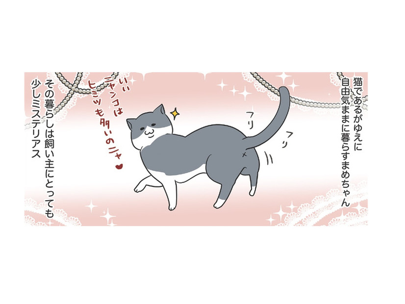 「愛猫の一日」ひとり時間を好み、自由気ままな暮らしぶり。飼い主にとってもミステリアス【おさんぽですし！　おしゃべり犬とイライラ猫の日記 #21】