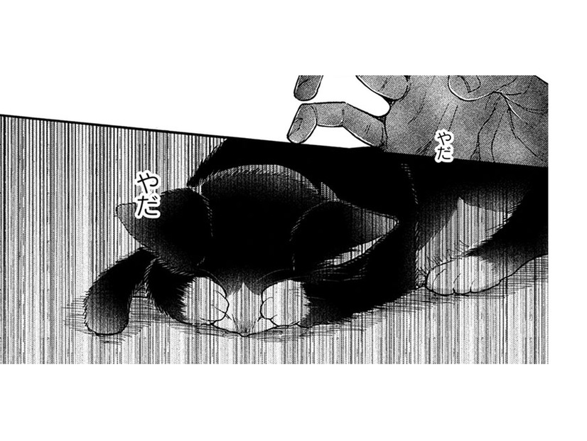 【猫視点】箱に入れられて知らない場所に置き去りに… あの子はそんな事はしない… よね？【同居人はひざ、時々、頭のうえ。 #73】