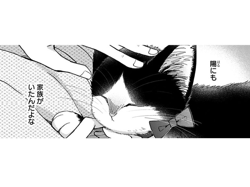 「家族」は顔やしぐさが似てくるって言われ、父と母の事を思い出す。 猫にもいたのかな…【同居人はひざ、時々、頭のうえ。 #77】