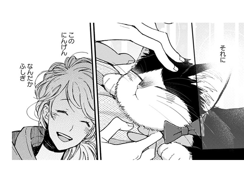 【猫視点】今日の人間はなかなかやるわねっ！ でも、なんでかしら？懐かしい気持ちになる…【同居人はひざ、時々、頭のうえ。 #81】