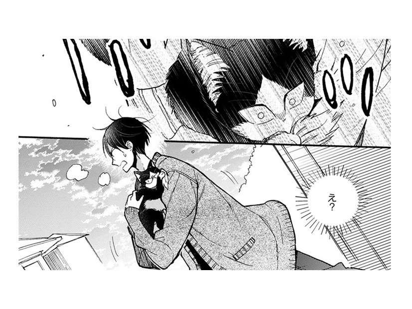 【猫視点】私が見つけたモノを取ろうとするあの子！ だって、このにおいは… とらないで!!【同居人はひざ、時々、頭のうえ。 #82】