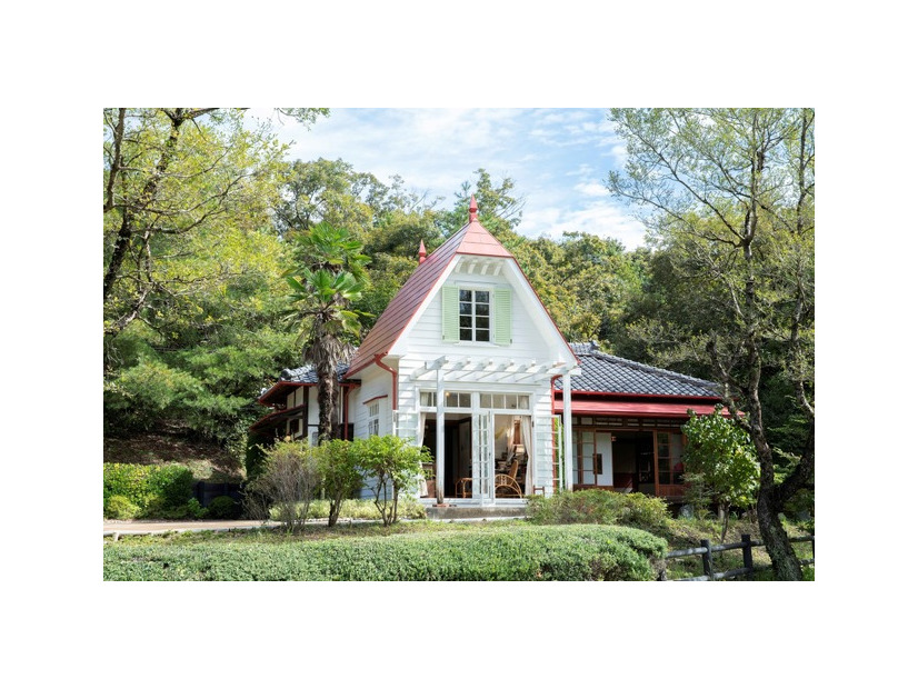 どんどこ森「サツキとメイの家」© Studio Ghibli