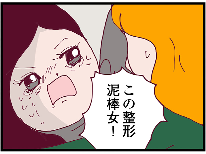 夫の浮気を巡ってママ友同士のケンカ勃発！ 止めに入ろうとすると、別のママ友が衝撃のカミングアウト【整形主婦　サレ妻の逆襲 #５】