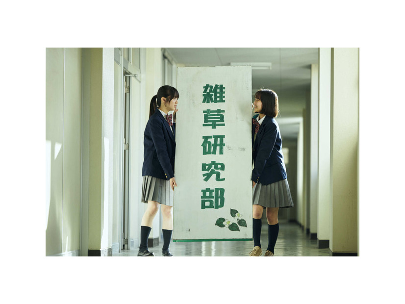 『ザッケン！』　2026上村奈帆・モノガタリラボ・プクプク／小学館／『ザッケン！』製作委員会