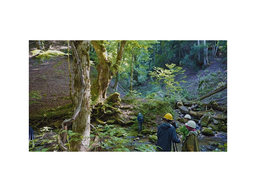 ドキュメンタリー映画『WITH』©2026 映画「WITH」製作委員会