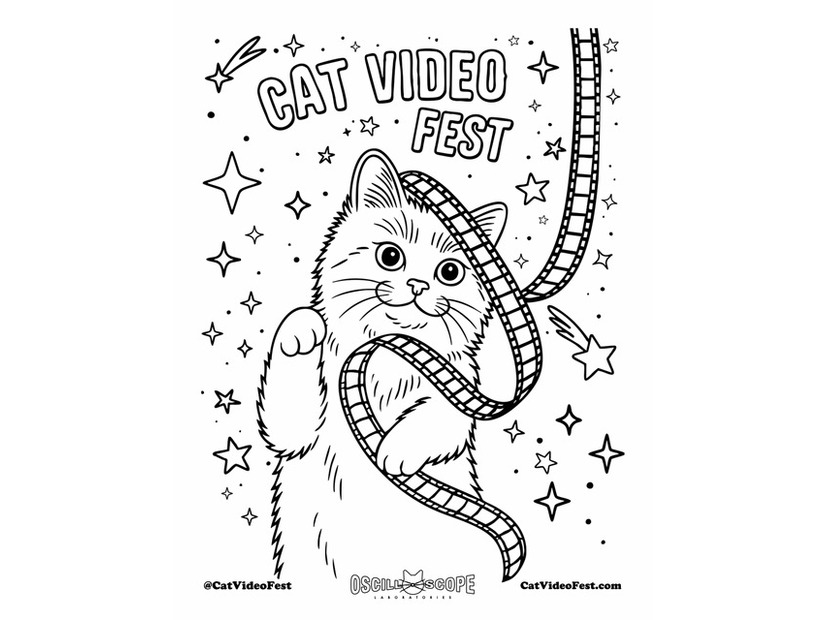 『CatVideoFest』