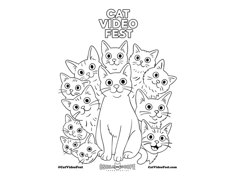 『CatVideoFest』