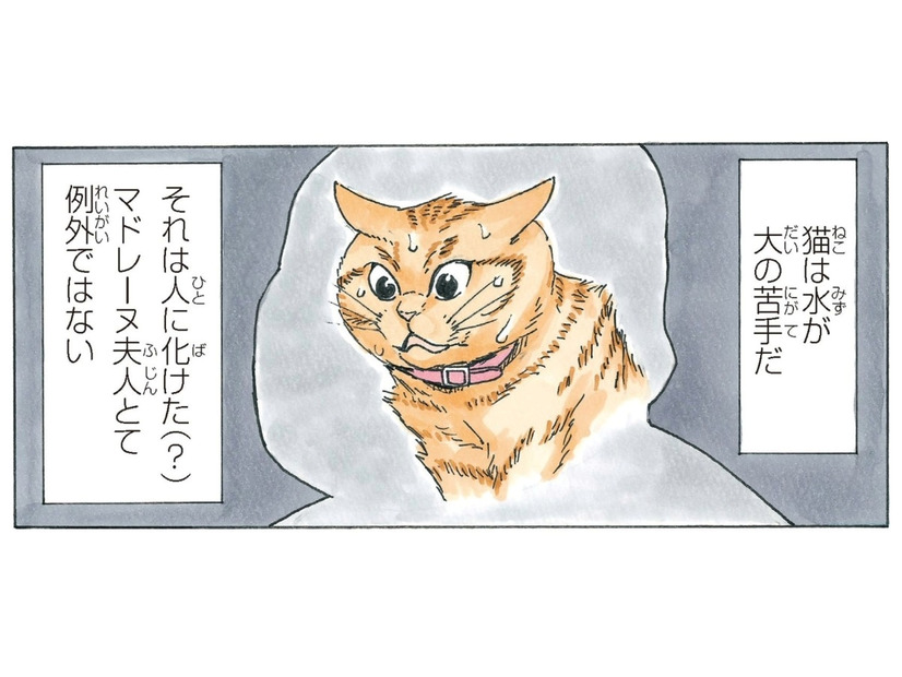 人に化けた「マドレーヌ夫人」猫は水が大の苦手というけど…水嫌いを克服できるのか!?【かのこちゃんとマドレーヌ夫人 #10】