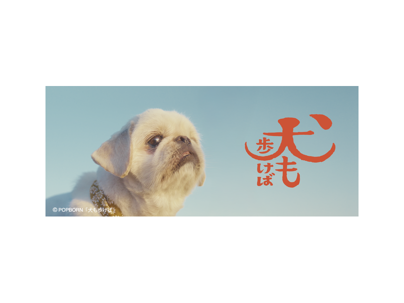 『犬も歩けば』