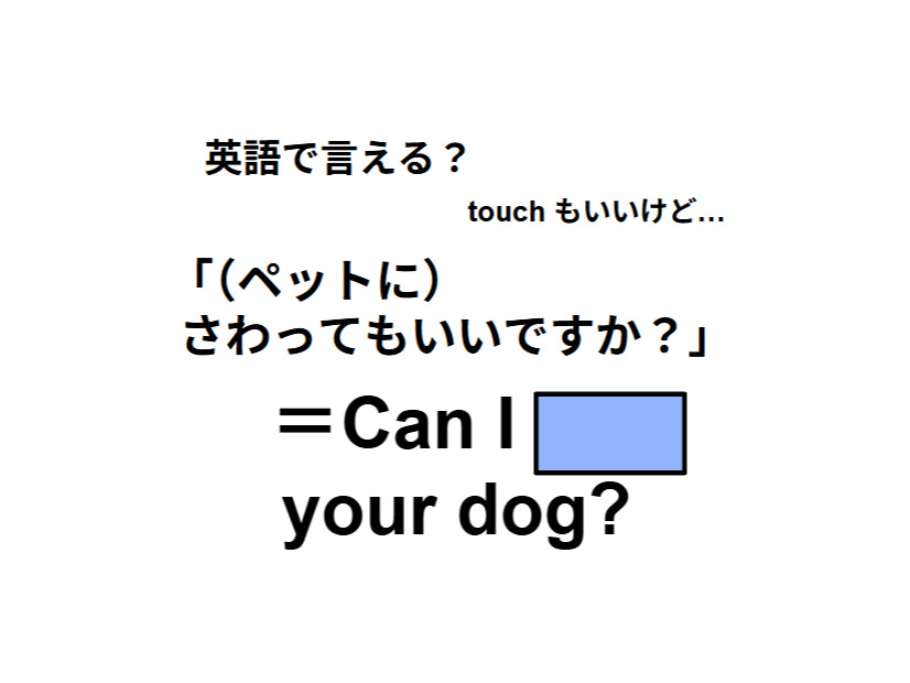 英語で「ペットに触ってもいいですか？」は何て言う？